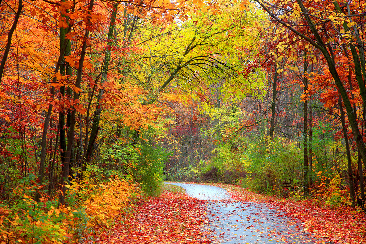 Fall is here: Here is the routine you should follow to prevent your end-of-year anxiety